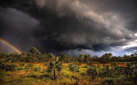 Early Monsoon Set to Hit Northern Australia as Heavy Rain Builds Across the Region