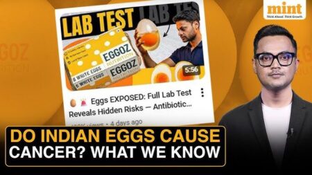 Eggoz antibiotic allegations