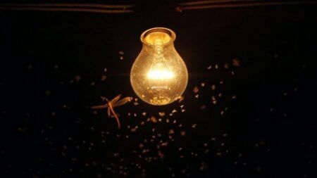 বৈদ্যুতিক বাতি