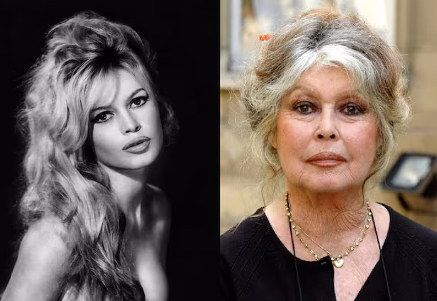 French film icon Brigitte Bardot has died. She was 91 years old