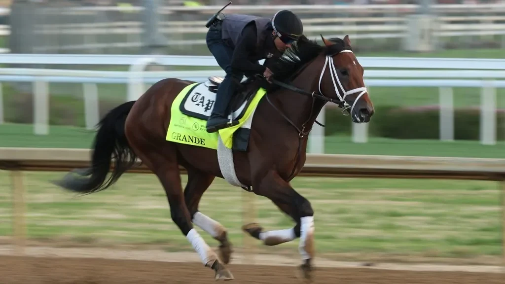 Kentuckys New Offense Could Make It an SEC Dark Horse