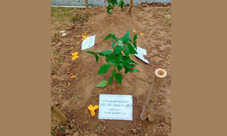 শহীদ শরিফ ওসমান হাদি