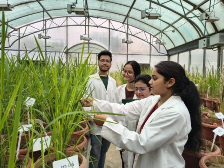 ICGEB PhD Fellowships