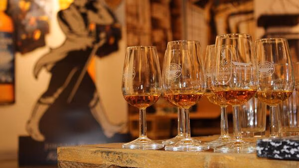 India winter spirit releases