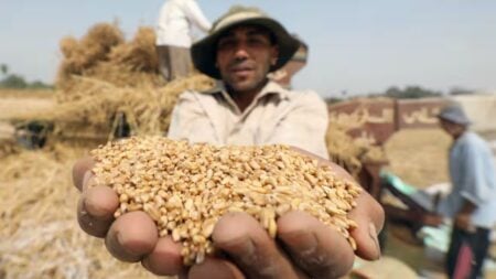 India’s Pulse Storage Crisis Threatens Food Security and Self-Reliance Goals India's Pulse Storage Crisis Threatens Food Security and Self-Reliance Goals
