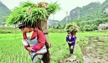 ক্যালরি বাড়ছে