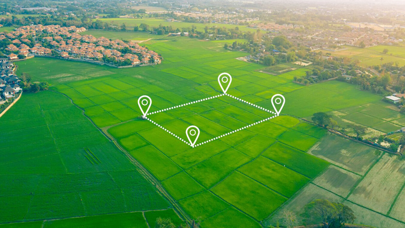 জমির নামজারি