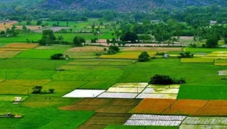 ৬ শ্রেণির জমি