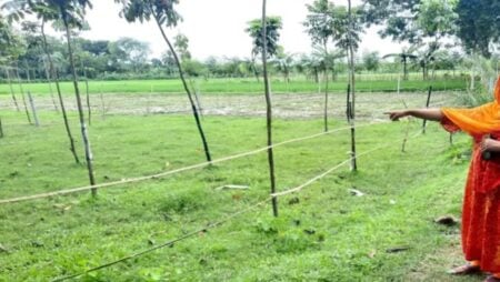 জোরপূর্বক জমি দখল