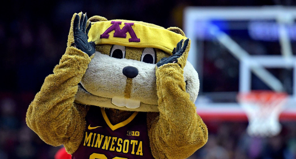 Minnesota Gophers 2026 roster