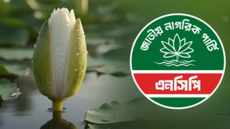 জাপার তিন নেতাকে এনসিপির মনোনয়ন, ক্ষুব্ধ রাজনৈতিক দলগুলো NCP
