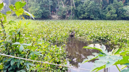 রাতে প্রেমিক