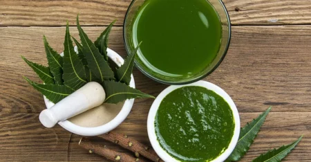 নিমের ডাল