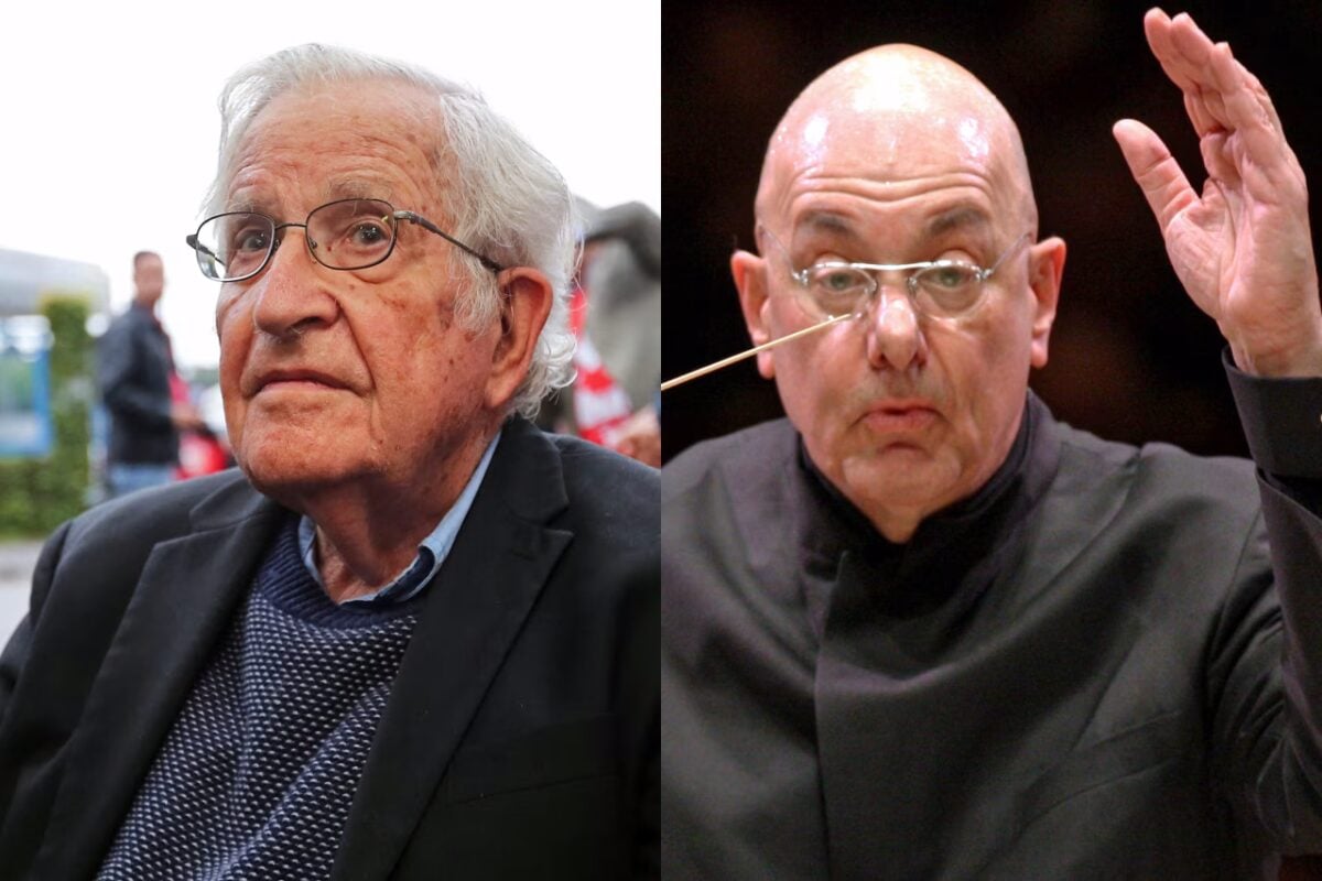 Noam Chomsky Epstein