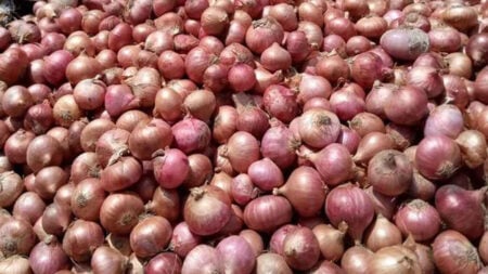 পেঁয়াজের দাম
