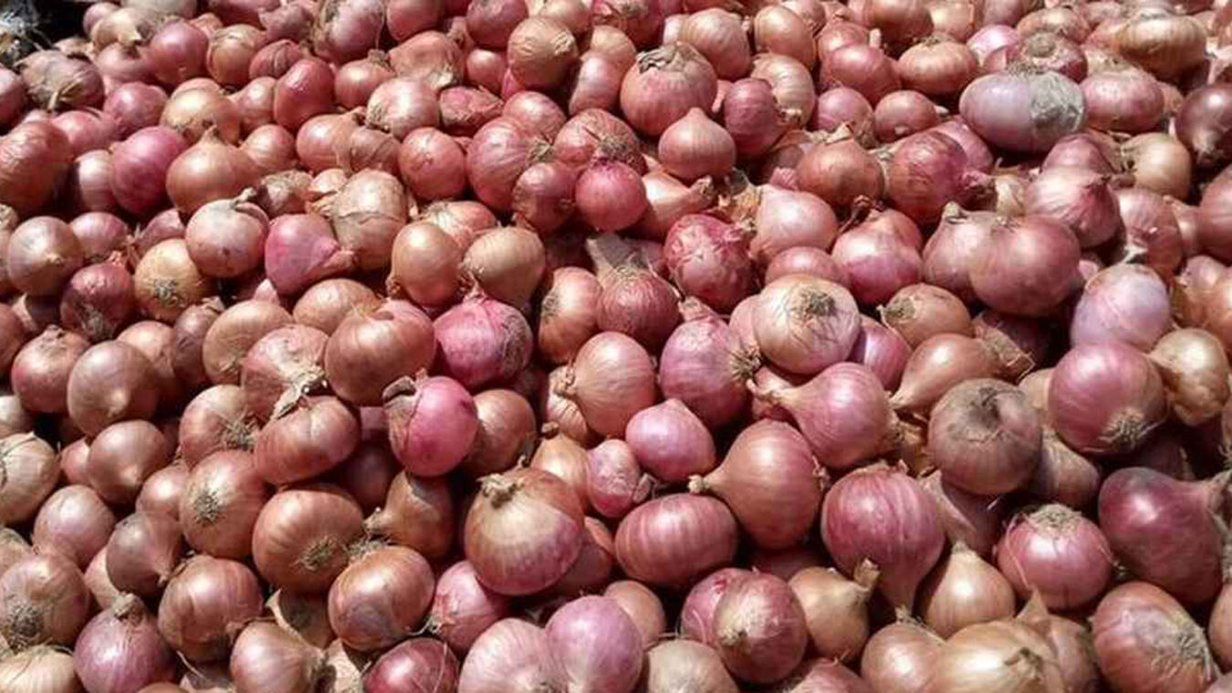পেঁয়াজের দাম