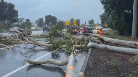 Pineapple Express storm