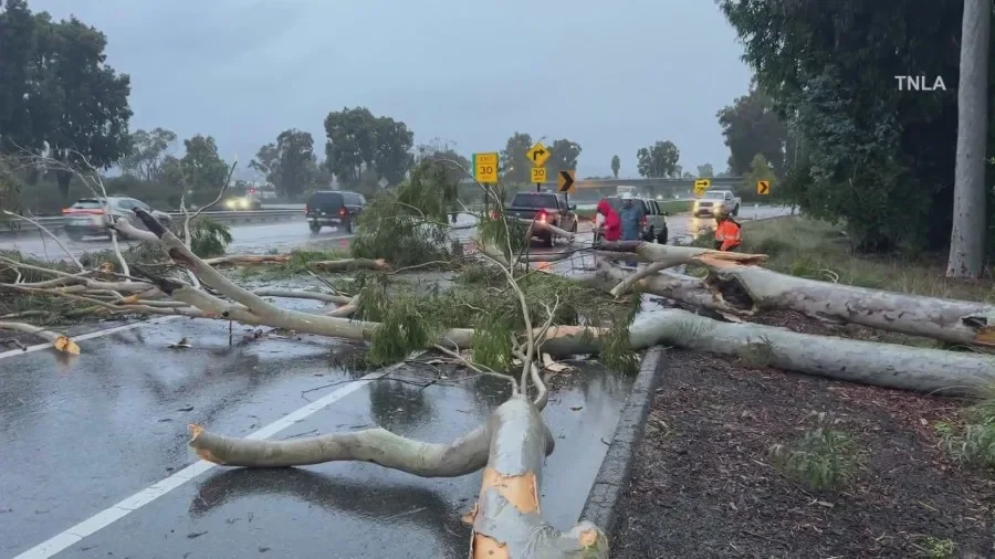 Pineapple Express storm