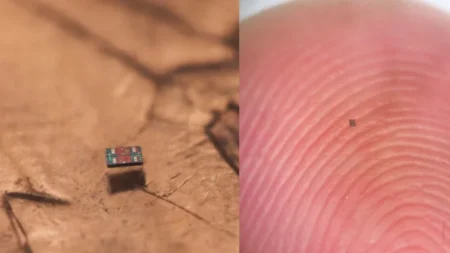 বিশ্বের ক্ষুদ্রতম রোবট