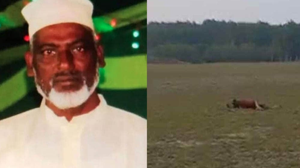 শামছু বাহিনী