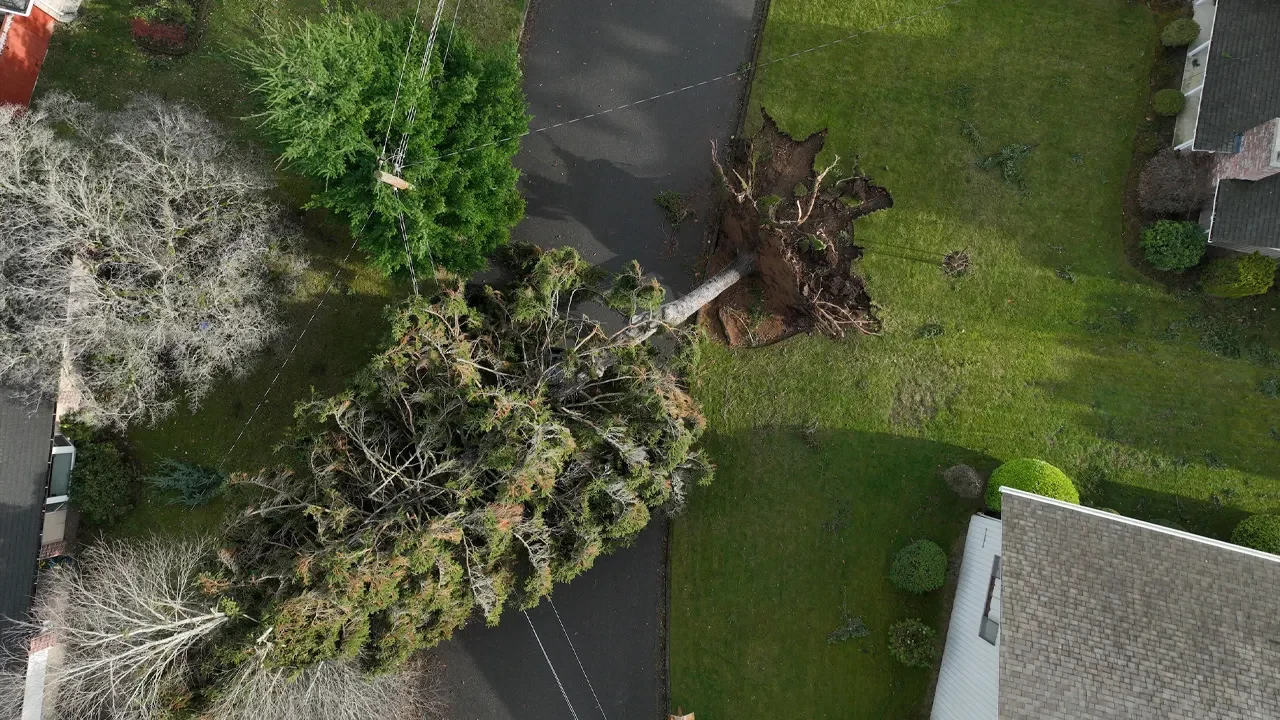 Seattle power outage