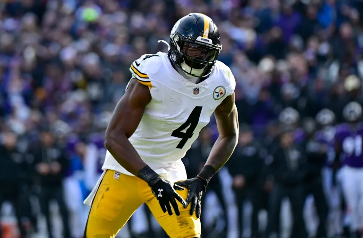 Steelers' Playoff Hopes Jeopardized by DK Metcalf Fan Altercation