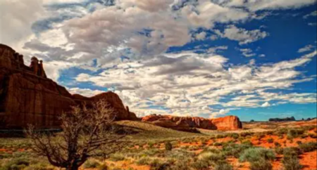 Utah desert discovery