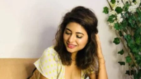 ওয়েব সিরিজ