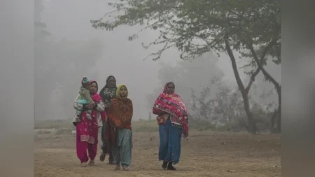Weather Today Dense Fog and Cold Wave Grip North India, Disrupting Travel