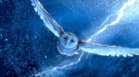 Zack Snyder animated movie