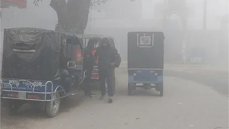 শৈত্যপ্রবাহে