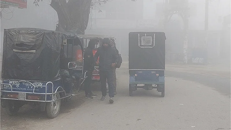 শৈত্যপ্রবাহে