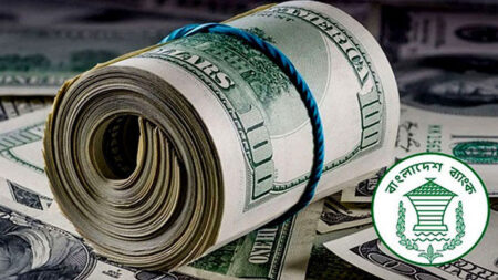 দেশের রিজার্ভ