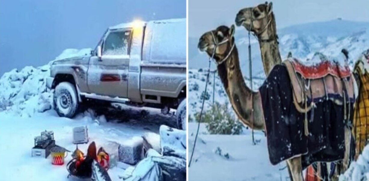 সৌদি আরব