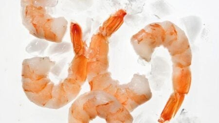 Massive Shrimp Recall for Radioactive Contamination Threatens Christmas Menus shrimp recall