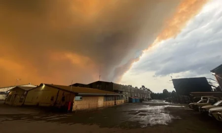 Tasmania Bushfires 2025: Extreme Winds Ground Aircraft as Homes Face Immediate Threat tasmania bushfires