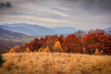 Armenia Records Warm and Dry Autumn in 2025 as Climate Trends Grow Stronger