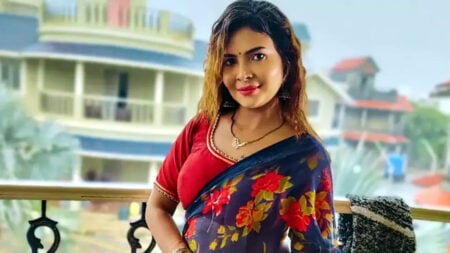 ওয়েব সিরিজ