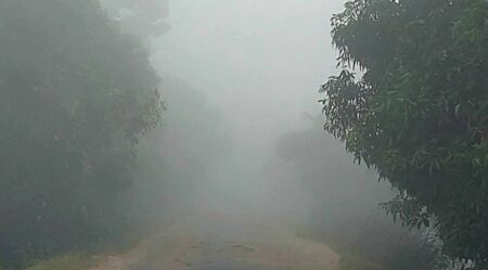 ঘন কুয়াশা