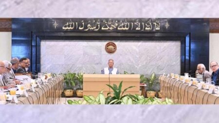 বন ও বন্যপ্রাণী