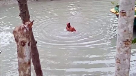 ৫০০ টাকা বাজিতে খালে ১০০ ডুব, প্রাণ গেল কৃষকের ঝালকাঠির রাজাপুর