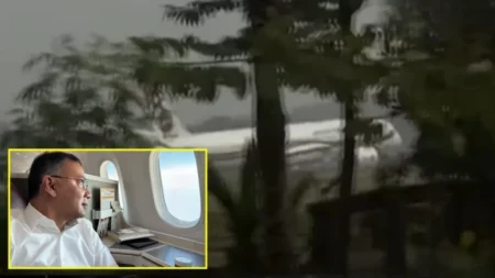 অবতরণ করেছে