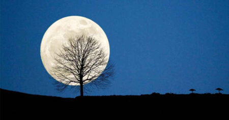 দীর্ঘতম রাত