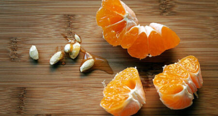 কোন ফলের বীজ বাইরের দিকে থাকে? জানলে অবাক হবেন ফলের বীজ