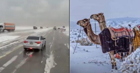 বিরল তুষারপাত