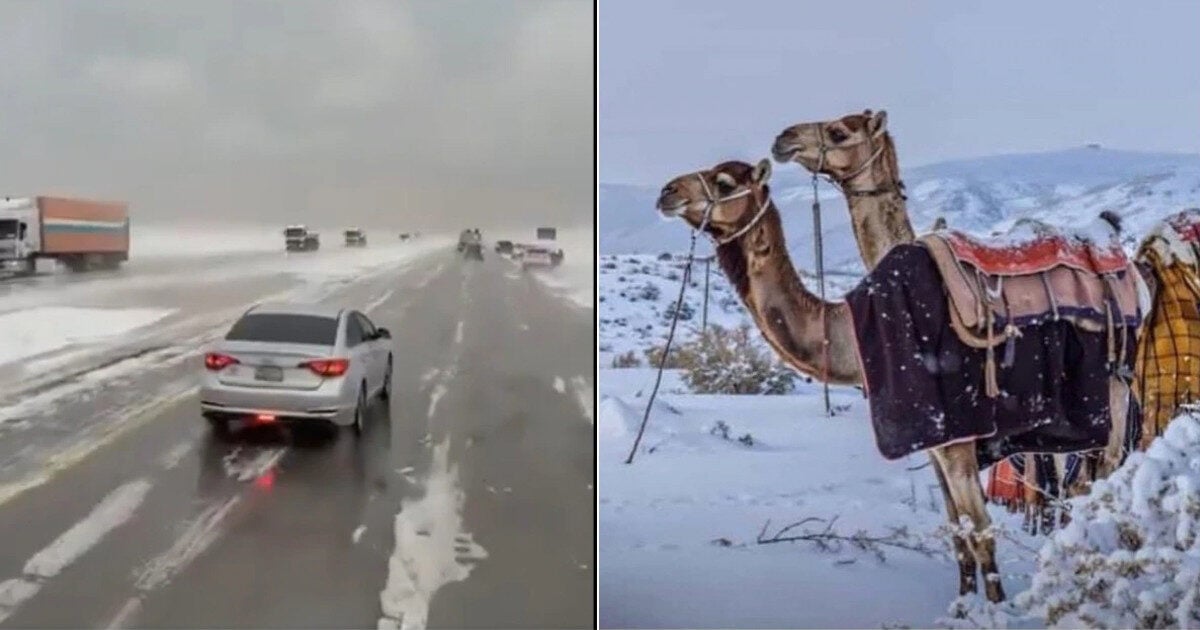 বিরল তুষারপাত