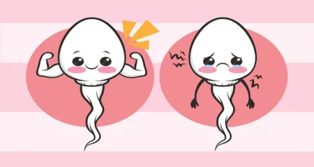 প্রশ্ন ও উত্তর