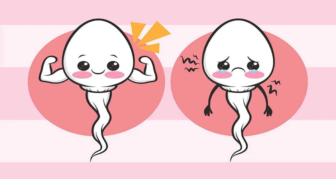 প্রশ্ন ও উত্তর