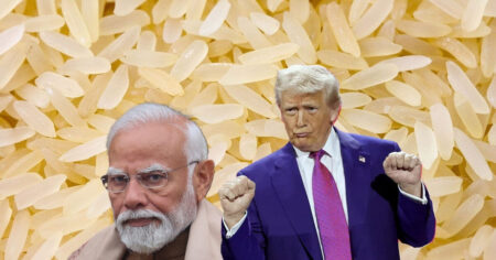 ভারতের চালে শুল্ক আরোপ