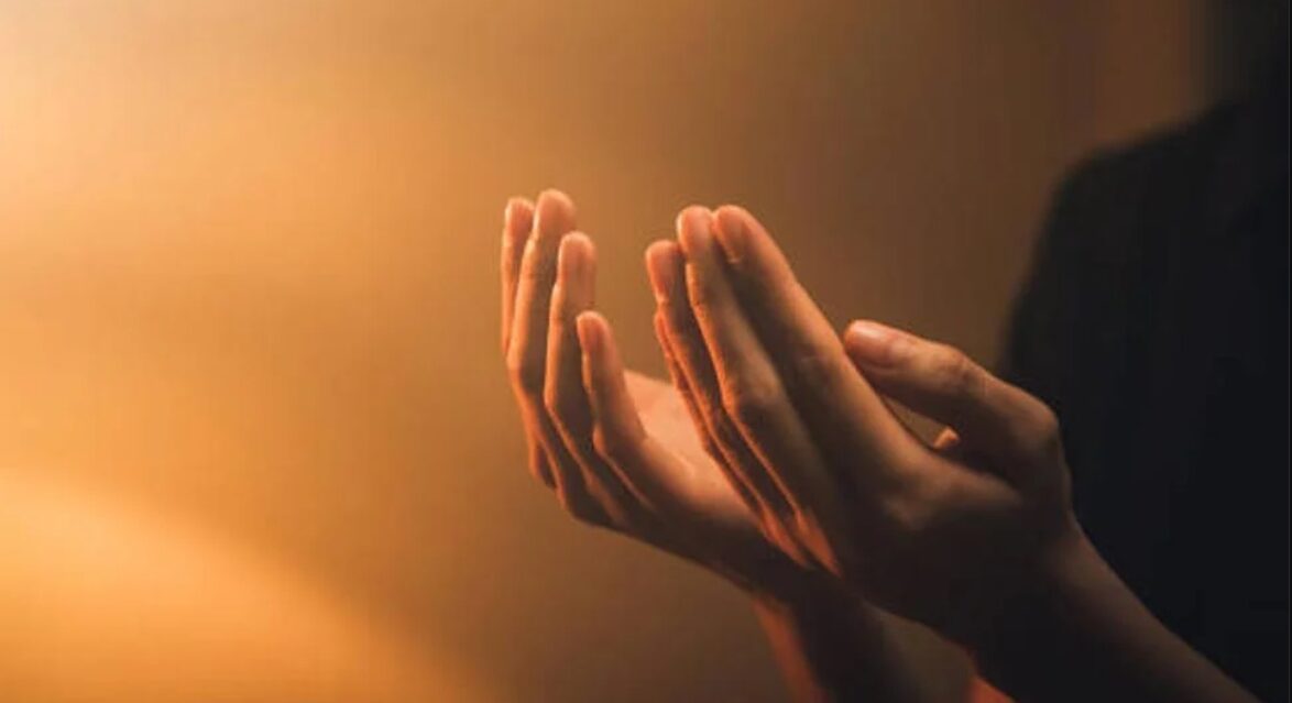 মূলনীতি